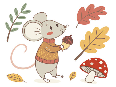 Cute autumn mouse vector illustration, little field mouse in sweater holding acorn, forest animal with fall leaves and mushroom