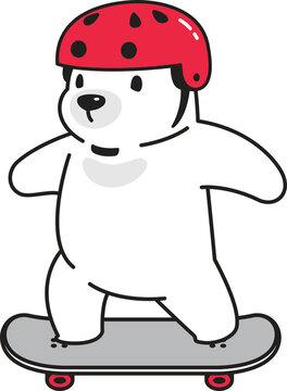 bear polar icon skateboard cartoon character teddy illustration design