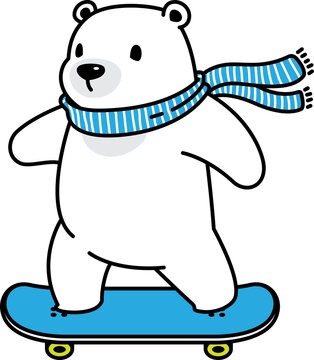 bear polar icon skateboard teddy cartoon character illustration symbol white design
