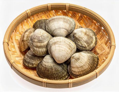 수생 생물-조개류-조개-바지락-조개 껍데기-바지락 한 소쿠리-바다 조개-채반에 담긴 바지락-바구니-소쿠리-채반-대나무 채반-대나무 소쿠리-쌓여있는-여러 개-흰색 배경