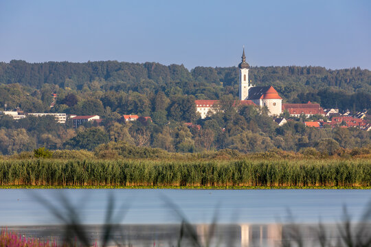 Sommermorgen am S&uuml;dufer des Ammersees bei Diessen, Bayern