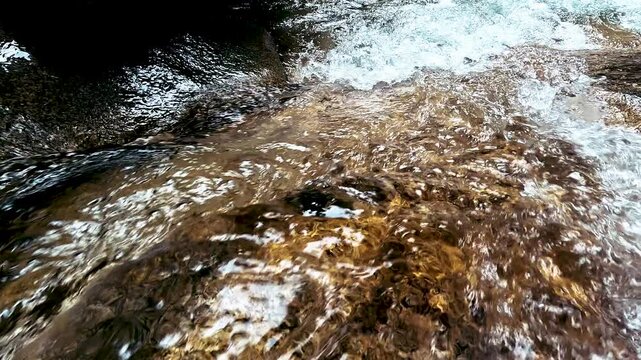 Close View of Shallow Rainforest River Rapids in Ecuador, Golden Rock Texture, Flowing Freshwater and Tropical Nature Background