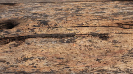 Naklejka premium High-quality texture of natural brown wood plank surface for background and interior design element