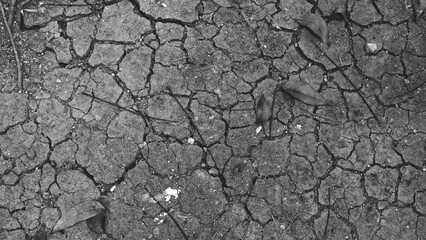 Fototapeta premium Black and white cracked dry soil texture with scattered leaves, small stones and natural surface patterns, creating an earthy abstract background