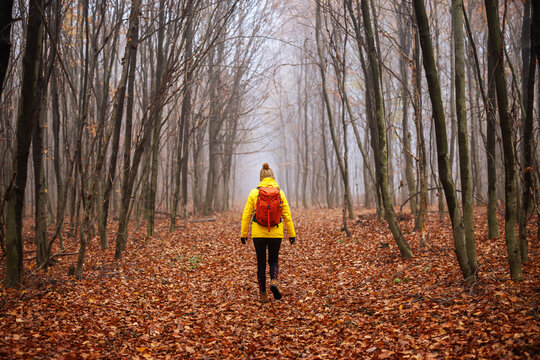 Woman hiker with yellow jacket and red backpack walking at trekking trail in misty autumn forest. Outdoors hiking adventure