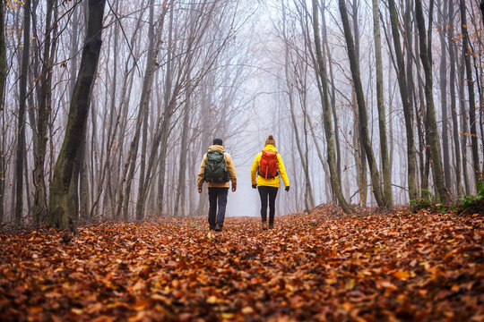 Autumn hiking. Two hikers is walking in foggy forest. Couple with backpacks trekking together in woodland