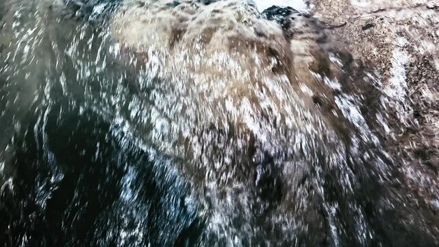 Close View of Clear Rainforest Water Flowing Over Rocks in Ecuador, Freshwater Rapids, Natural Motion Texture and Jungle River Background