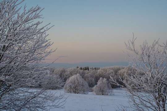Winter landscape in Estonia with frost-covered trees framing the scene. he bare branches are delicately coated with ice giving them a shimmering white appearance. Frozen Baltic Sea in a background.