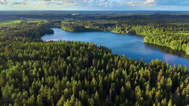 A view in Finland H&auml;meenlinna Aulanko in nice summer lighting in aerial drone footage of forest and lake. 