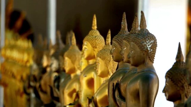Row of golden buddha statues standing in serene temple setting cinematic footage.