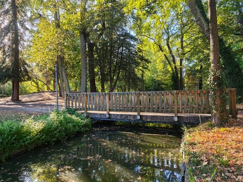 A small wooden bridge crossing a canal stream in a peaceful green forest park with warm sunlight. Ideal conceptual background for nature travel, connection, landscape, outdoor, and relaxation.