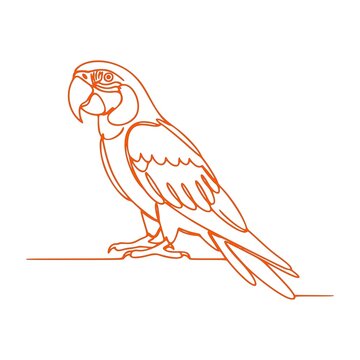 Minimalist Continuous One Line Parrot Drawing in Orange