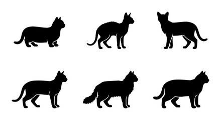 Obraz premium Six Silhouette Cat Poses Vector Set, Black Feline Animal Icons, Domestic Pet Graphic Elements for Design