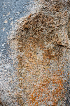 High‑resolution close‑up of a natural rock surface showing detailed texture, organic patterns, and weathered geological features. Ideal for backgrounds, design elements, and nature‑themed creative pro