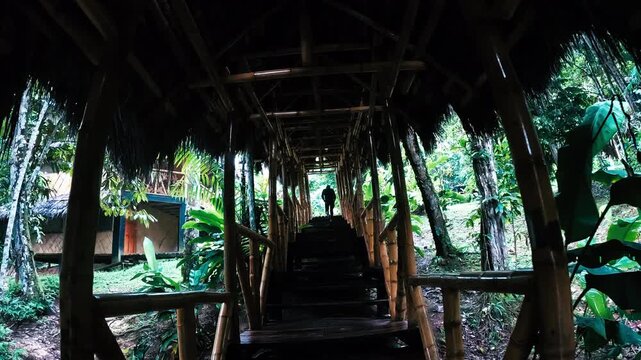 Rustic Wooden Walkway Through Tropical Rainforest Wetland in Ecuador, Elevated Jungle Path, Palm Roof, Green Vegetation and Ecotourism Travel Scene