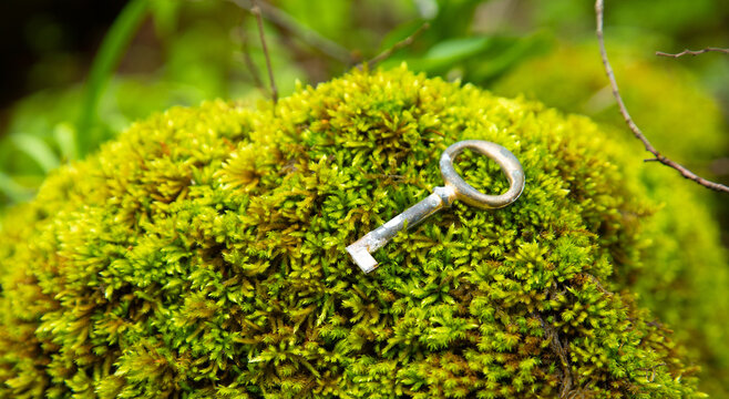 Old key in the nature background.