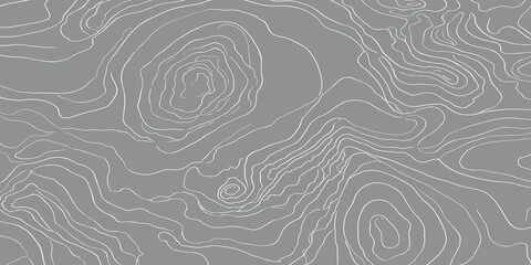 Minimalist topographical contour line texture with topography abstract background elevation cartography geography landscape navigation technical visualization creative wallpaper template © MOHAMAD