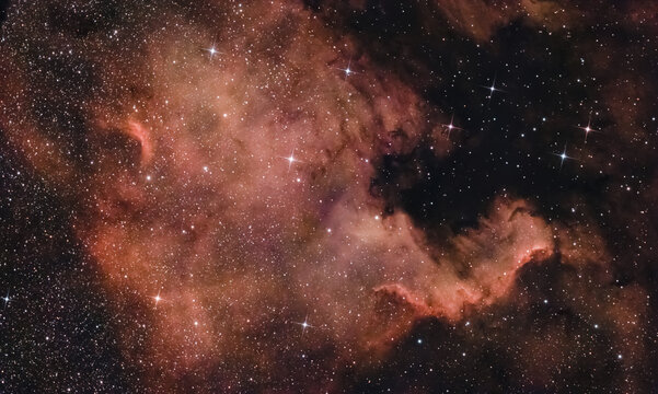 Nordamerikanebel (NGC 7000) im Sternbild Schwan