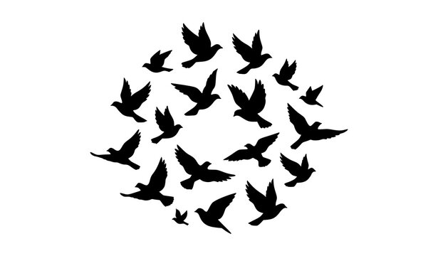 Bird silhouette flock swirling in circular flying formation isolated minimalist vector illustration
