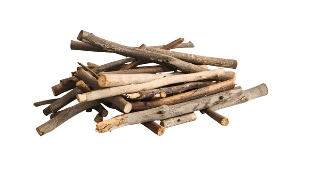 Small cut logs and branches loosely piled on dark surface