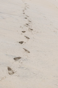 Footprints trailing across soft beach sand in natural light.