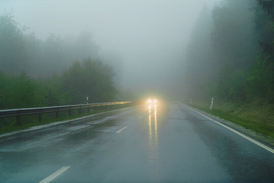 A wet asphalt road in autumn, in the rain.