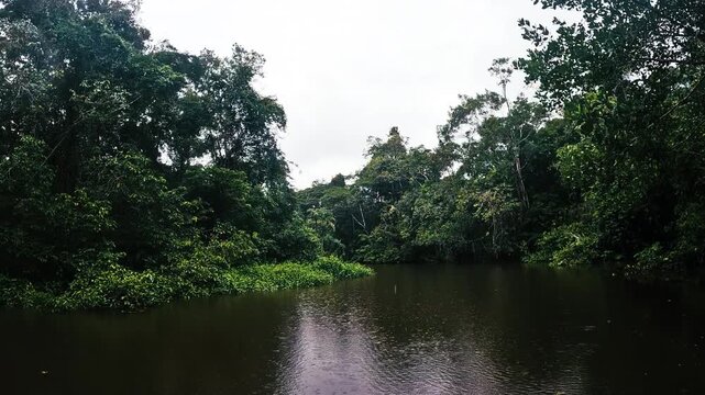 Calm Tropical Rainforest River Bend in Ecuador with Dense Jungle Banks, Dark Water Reflections and Remote Amazon Wilderness Travel Landscape