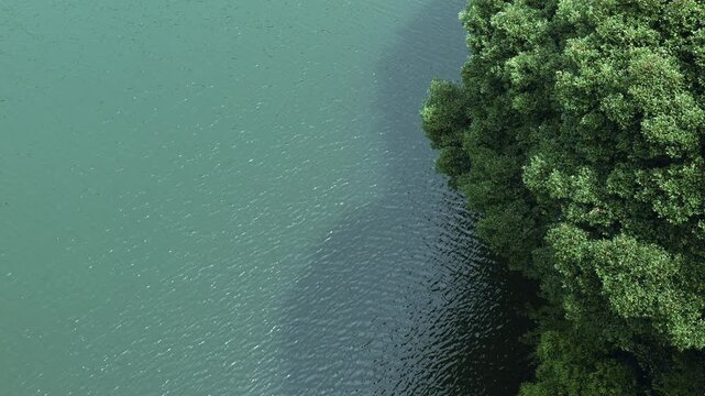 エメラルドグリーンの水面と生い茂る木々、自然の美しさを捉えた俯瞰の背景
