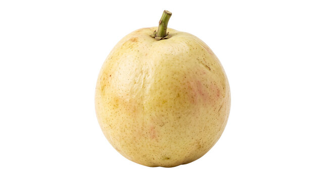 Fresh whole guava fruit with green stem, ripe yellow guava on white, organic tropical fruit for healthy diet and nutrition isolated PNG with Transparent Background
