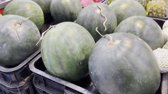Fresh green watermelons displayed in plastic crates at market
