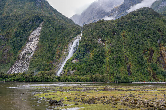 Wasserfall st&uuml;rzt durch &uuml;ppigen Regenwald in den Milford Sound, vermutlich Bowen Falls, Fiordland-Nationalpark, Neuseeland