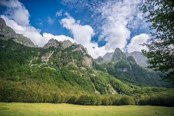 Obraz premium Scenic view of lush green grassland against majestic alpine peaks in Montenegro. Summer wilderness nature.