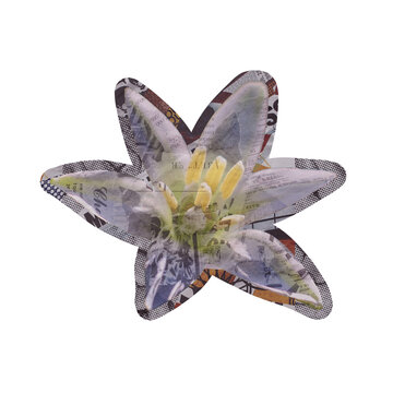 Template Flower Collage Art Design Element