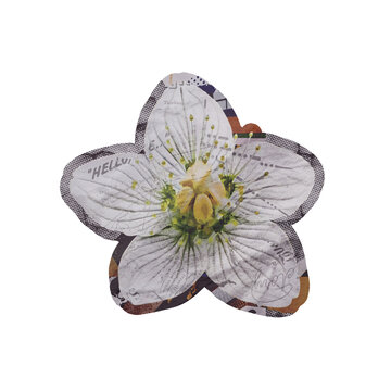 Template Flower Collage Art Design Element