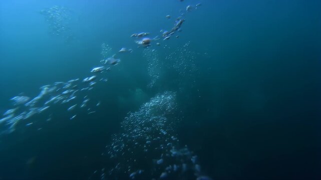 Bubbles Rising Through Deep Blue Ocean Water in Underwater Volcanic Vent Environment Featuring Submersible View, Aquatic, Fluid Motion with Movement