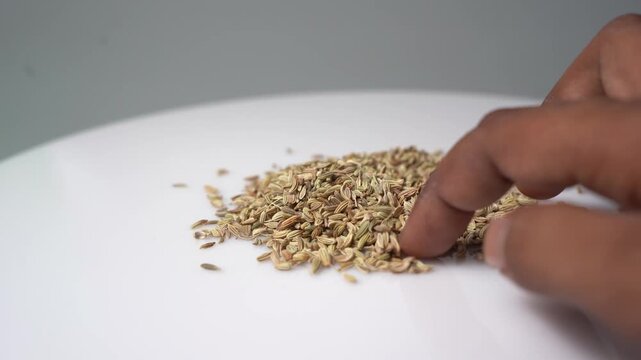 A close-up shot of a hand gently sorting through a pile of fennel seeds on a clean white surface, showcasing the texture and detail of the spice