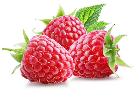 Three ripe juicy raspberries with leaves isolated on transparent background.