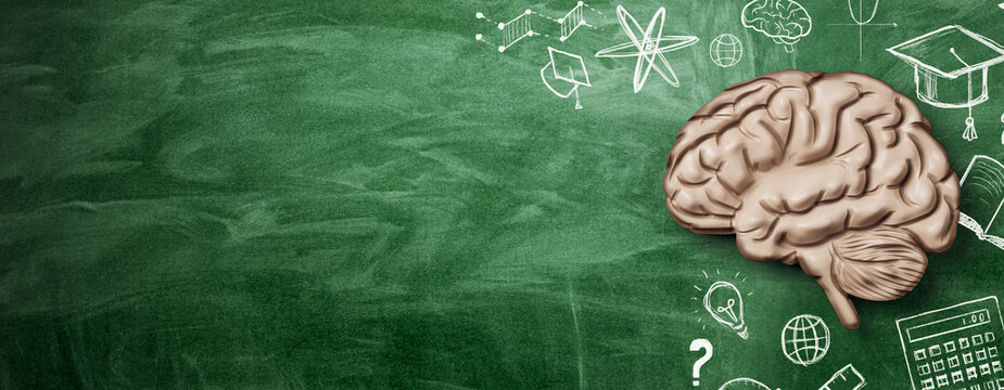 Science education concept with realistic brain on green chalkboard, school learning and research background with copy space. 3D Rendering