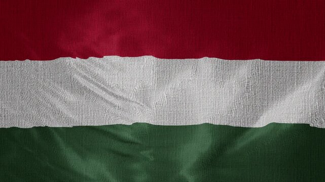Hungary Flag Animation With Fabric Texture Loop