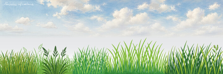 Fototapeta premium Grass Field Under Blue Sky Hand-Drawn Illustration