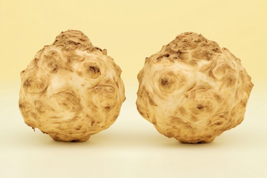 Ultra realistic celeriac roots, 2-3 pieces, clean trimmed surface, natural knobby texture, top-down flat lay, wide editorial composition with negative space