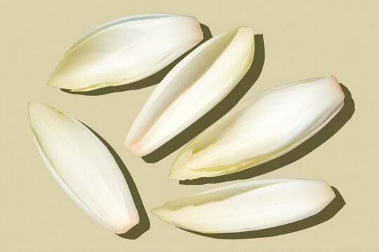 Ultra realistic endive leaves, pale yellow-green crisp texture, top-down flat lay, wide clean composition with negative space, solid monochrome soft yellow-green background slightly