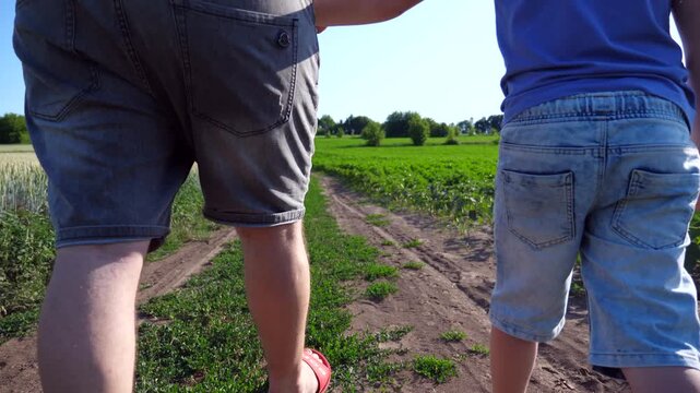 Father with his little son hold arms of each other walking among rural road near cultivated meadows. Daddy with his kid going among path near green fields. Dad and child spending time together outdoor