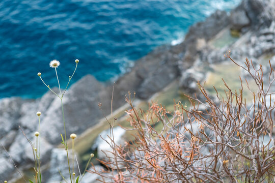serene rocky coastline with waves crashing against rocks in a natural seaside landscape close-up view of coastal scene with plants and rocky terrain under blue and gray skies.