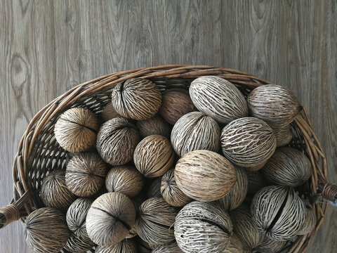 Dry cerbera odollam seeds in a wicker basket