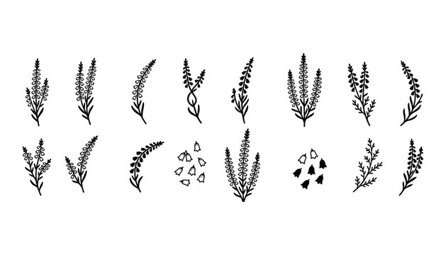 Aromatherapy Lavender and Heather Floral Icon Set Featuring Wild Herbs, Botanical Branches, Flower Buds, and Natural Organic Foliage Symbols for Cosmetic Designs