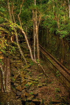 Beng Mealea Temple In Cambodia