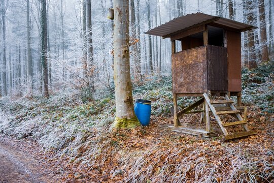 Wooden deer blind in a frosty winter forest