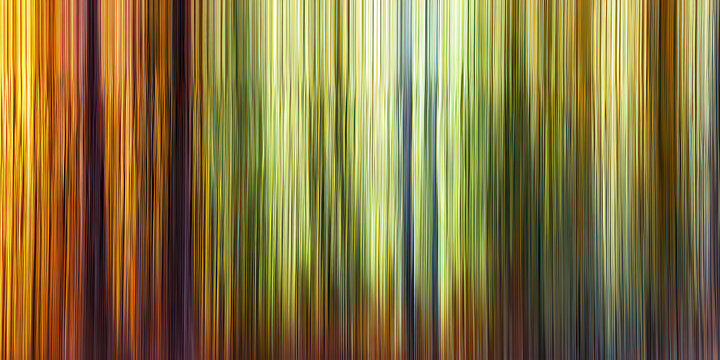 abstract vertical motion blur autumn forest texture warm earthy tones dynamic speed effect nature background for web design and wellness branding

