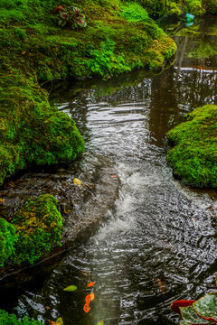 Tranquil river scene with mossy rocks and morning mist in forest,dreamlike atmosphere in the woods,waterfall in nature rainforest concept.